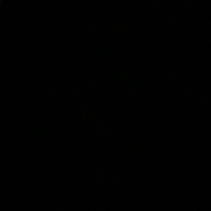 Meet your Posher, Brittney